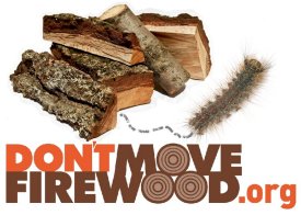 Do Not Move Firewood From One State to Another; Protect Our Environment