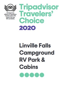 Trip Advisor 2020 Travelers Choice Award